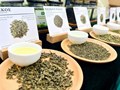 Chè Mỹ Lâm – Hương vị từ đồi chè Tuyên Quang tỏa sáng tại Tea Show 2025