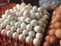 Bản tin Tiêu dùng: Trứng gia cầm vẫn hút khách dù giá tăng