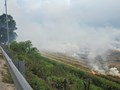 Chung tay nói không với đốt rơm rạ sau thu hoạch