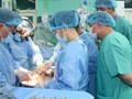 Hành trình hồi sinh sự sống
