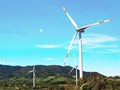 Quảng Trị: Thêm 2 Nhà máy điện gió được công nhận vận hành thương mại