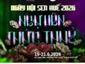 Huế “đánh thức” vẻ đẹp sen ngự tại Ngày hội Sen 2026
