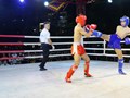 Hơn 250 vận động viên tranh tài môn Kickboxing và Giải Vô địch Trẻ Kickboxing tỉnh Gia Lai