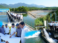 Giữ vững nguồn nước, tạo động lực phát triển vùng ven biển Huế