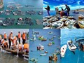 Thủy sản Việt Nam chuyển mình – Địa phương nắm quyền, cộng đồng lên tiếng