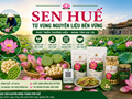 Phát triển thương hiệu sen Huế từ vùng nguyên liệu bền vững