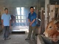 Mô hình kinh tế tổng hợp trên vùng đất cát Trung Thuần