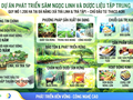 Đà Nẵng tiếp nhận hồ sơ dự án Sâm Ngọc Linh 1.206 ha của THACO AGRI