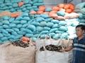 Nông dân Huế làm giàu từ vỏ trấu, góp phần phát triển kinh tế xanh và bền vững
