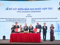 VIFC-DN tăng cường hợp tác với ACCA, hướng tới hệ sinh thái tài chính quốc tế