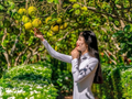 Thanh trà Thủy Biều chuyển hướng nâng chất lượng, tăng giá trị