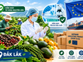 Đắk Lắk kiểm soát an toàn thực phẩm nông sản xuất khẩu sang EU