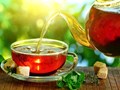 Hướng đi mới cho ngành thức uống từ Sâm Ngọc Linh
