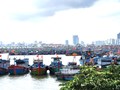 Đà Nẵng tập trung cao độ bảo đảm an toàn cho 168 tàu đang hoạt động trên vùng biển xa