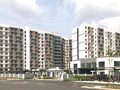 Hoiana: Lan tỏa giá trị nhân văn giữa thử thách thiên tai