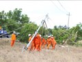 Chủ động ứng phó, bảo đảm an toàn điện trong mưa lũ miền Trung - Tây Nguyên