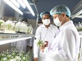 Trung tâm Công nghệ sinh học Đà Nẵng: Nòng cốt thúc đẩy nông nghiệp đô thị hiện đại