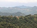  Nghệ An: Khi quyền được sống xanh bắt đầu từ những cánh rừng