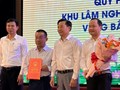 Nghệ An công bố Quy hoạch Khu lâm nghiệp công nghệ cao vùng Bắc Trung Bộ đến năm 2045