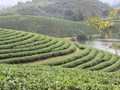 Nghệ An: Chất lượng, an toàn làm nên thương hiệu sản phẩm