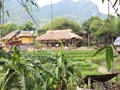 Du lịch cộng đồng xóm Mỗ – Hành trình chạm vào bản sắc và sự bình yên