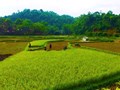 Đà Bắc tạo đà tăng trưởng, phát huy nội lực phát triển kinh tế - xã hội