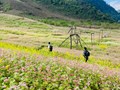 Sơn La: Huyện Vân Hồ tập trung phát triển kinh tế xã hội bền vững và toàn diện