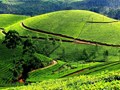 Đến vùng “đệ nhất danh trà” ngắm đồi chè xanh mướt thơ mộng ở Thái Nguyên