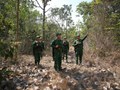 Bộ Chỉ huy Biên phòng Tây Ninh đẩy mạnh công tác vận động quần chúng, góp phần thúc đẩy kinh tế - xã hội khu vực biên giới