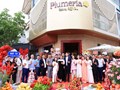 Khai trương Plumeria Spa Việt Trì: Đưa liệu pháp dưỡng sinh công nghệ cao về đất Tổ