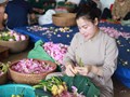 Theo chân nghệ nhân vào mùa ướp trà sen Tây Hồ