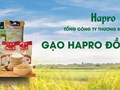 Gạo Hapro Đồng Tháp – nâng tầm hạt Ngọc Việt
