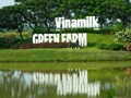 Trang trại Vinamilk Green Farm dưới lăng kính phát triển bền vững có gì đặc biệt?