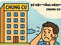 Bí quyết chọn tầng chung cư phù hợp với nhu cầu và ngân sách
