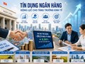Hộ kinh doanh được hưởng gì từ các chương trình tín dụng ưu đãi mới?