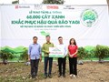 SeABank và Tập đoàn BRG chung tay trồng 68.000 cây phủ xanh gần 20ha rừng tại Lào Cai