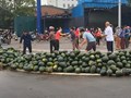 Nghệ An: Giải cứu hàng tấn dưa hấu giúp tài xế xe tải gặp nạn