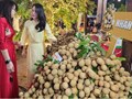 Nông sản Hưng Yên tìm “đường băng” trên thị trường số