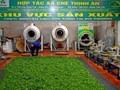 Hợp tác xã Chè Thịnh An: Đa dạng hóa, nâng tầm sản phẩm từ cây chè