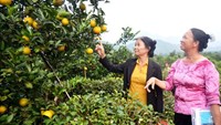Bắc Quang: Đời sống bà con nhân dân phát triển toàn diện nhờ xây dựng nông thôn mới