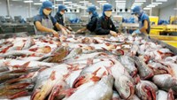 Xuất khẩu cá tra sang Trung Quốc tăng gấp đôi trong 10 tháng