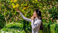 Thanh trà Thủy Biều chuyển hướng nâng chất lượng, tăng giá trị
