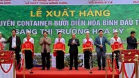 Hòa Bình: Xuất khẩu lô bưởi Diễn đầu tiên sang thị trường Hoa Kỳ