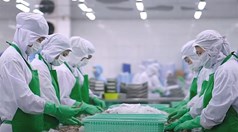 Xuất khẩu nông lâm thủy sản khởi sắc đầu năm 2026