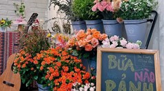 “Buffet hoa” và cà phê - trải nghiệm độc đáo được giới trẻ Hà Nội đón nhận
