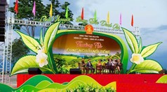 Thái Nguyên sôi động Hội thi “Bàn tay vàng chế biến chè” và không gian “Thưởng trà cùng người nổi tiếng”