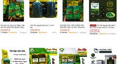 Cuộc chơi mới của người trẻ và thương hiệu trà trên các sàn thương mại điện tử 