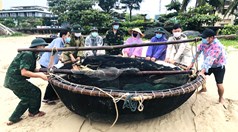 Đà Nẵng chủ động ứng phó với mưa lớn và bão số 12: Không để bị động, bất ngờ