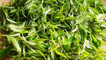 Triển vọng của ngành xuất khẩu đồ uống và thực phẩm chế biến từ rau củ