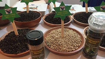 Xuất khẩu hồ tiêu tháng 1/2026 tăng 66,2%: Tín hiệu khởi sắc cho ngành gia vị tỷ USD